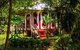 Eden Garden